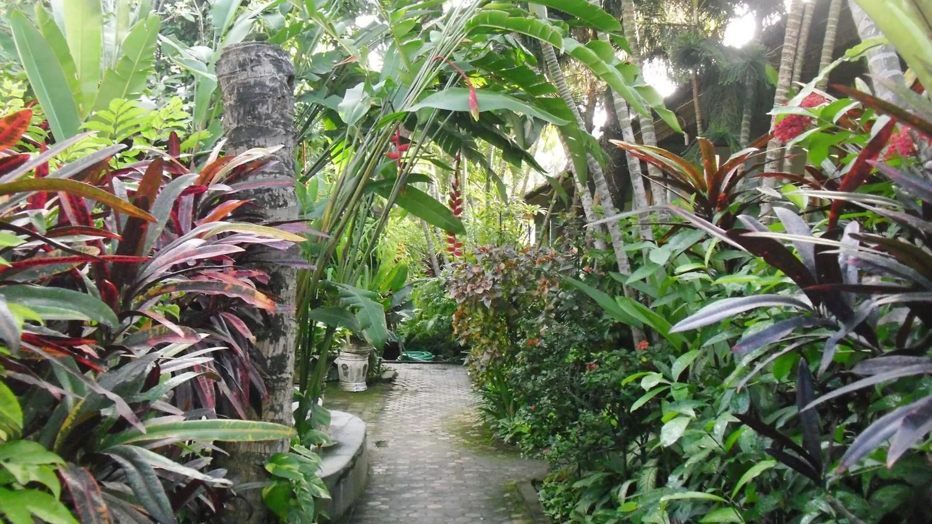 Adus Beach Inn Legian Indonésie